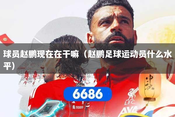 球员赵鹏现在在干嘛(赵鹏足球运动员什么水平)